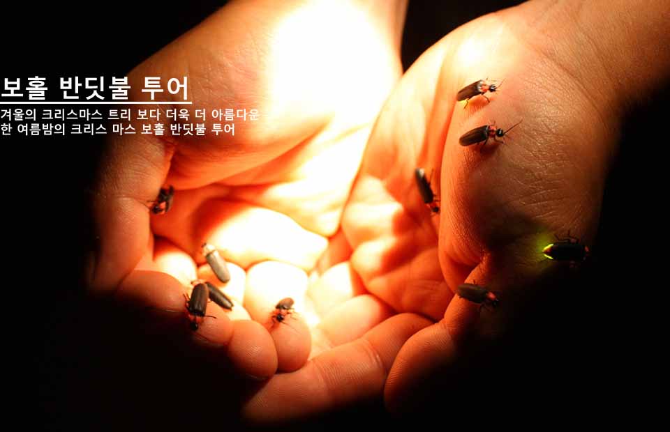 반딧불투어.jpg